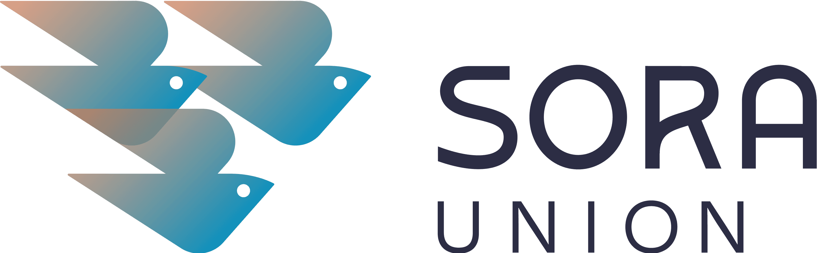 Sora Union colorful logo representing brand identity