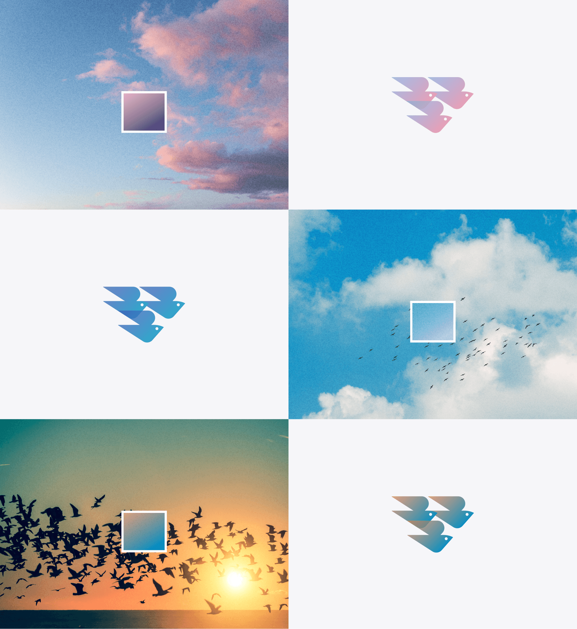 Concept illustration showing Sora Union's brand colors and design
